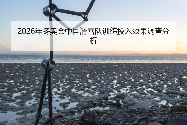 2026年冬奥会中国滑雪队训练投入效果调查分析