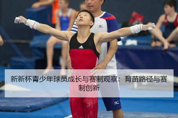 新新杯青少年球员成长与赛制观察：育苗路径与赛制创新